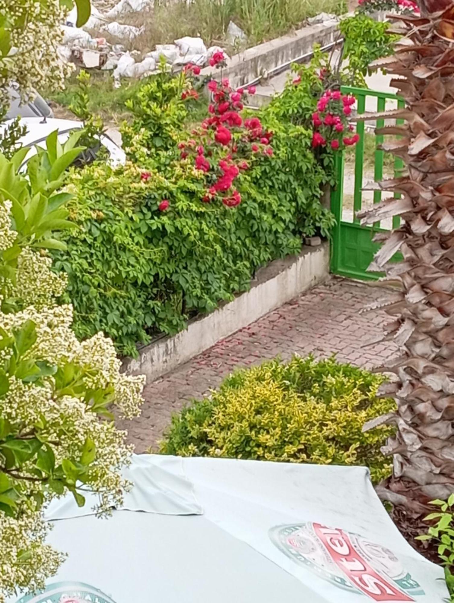 A-Vila Golem  Buitenkant foto
